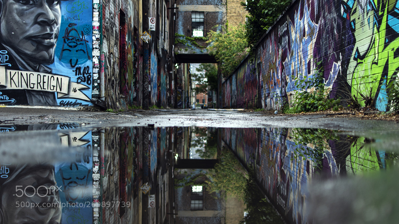 Nikon D5200 sample photo. Colourful reflection photography