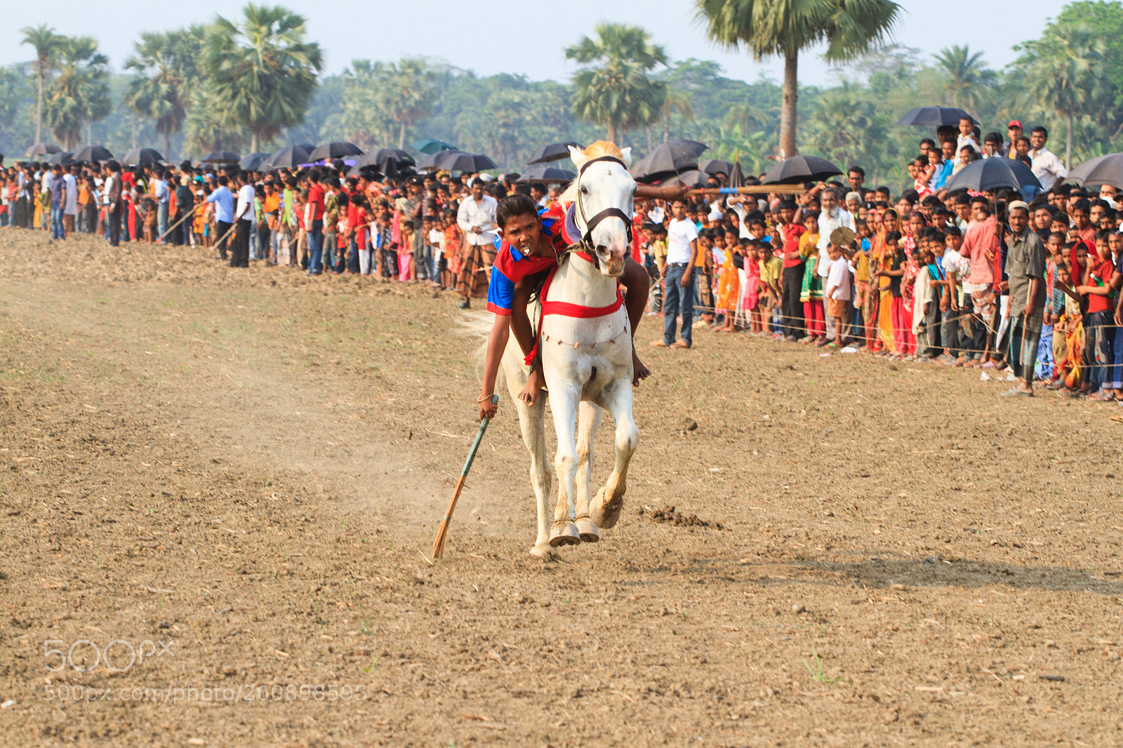 Canon EOS 7D sample photo. Horse race () photography