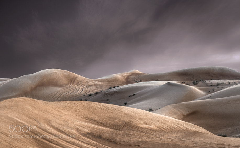 Sony a7 II sample photo. Emirados arabes photography