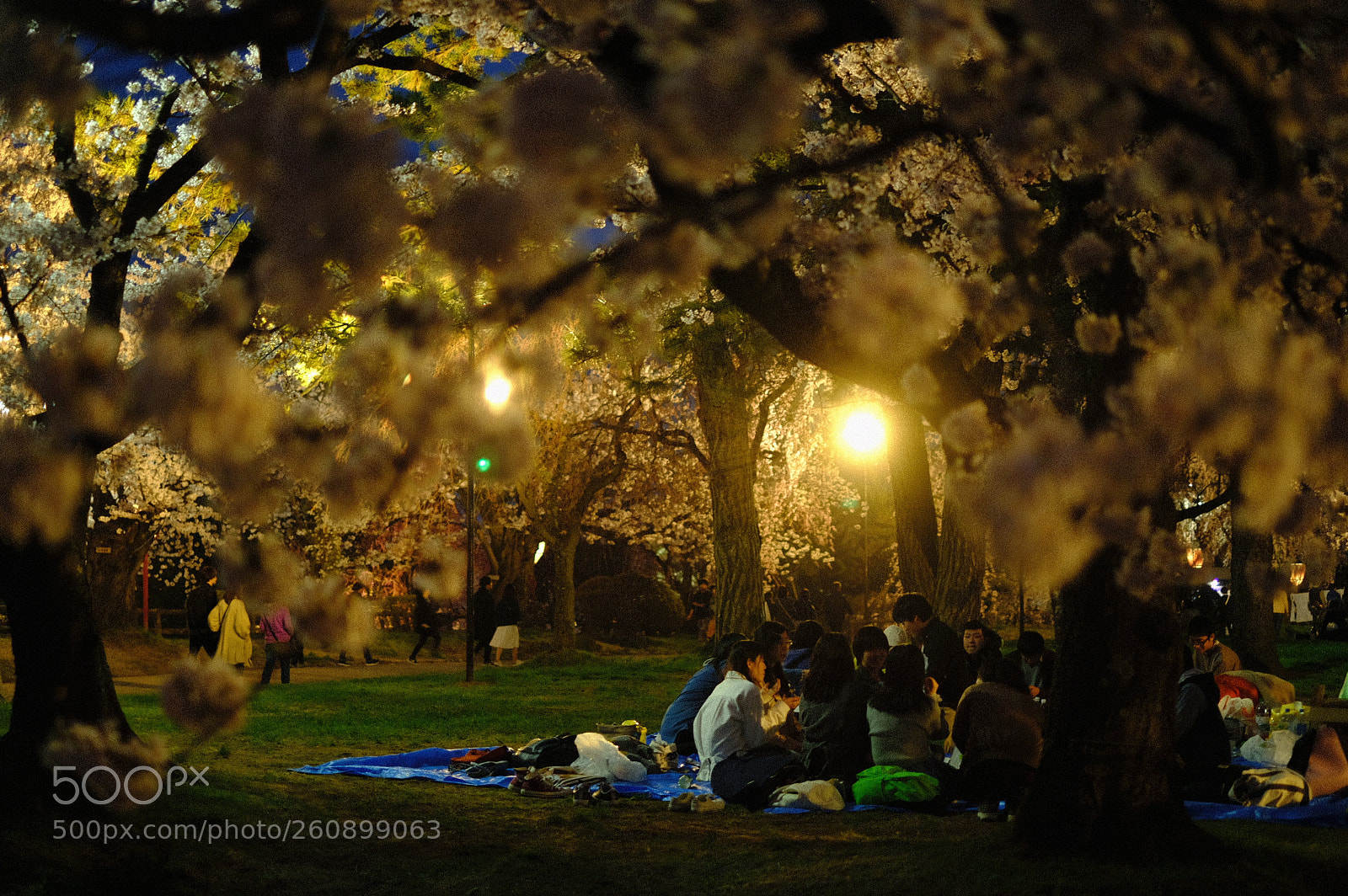 Fujifilm X-T2 sample photo. Dscf photography