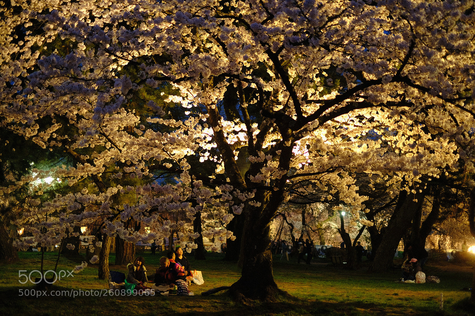 Fujifilm X-T2 sample photo. Dscf photography