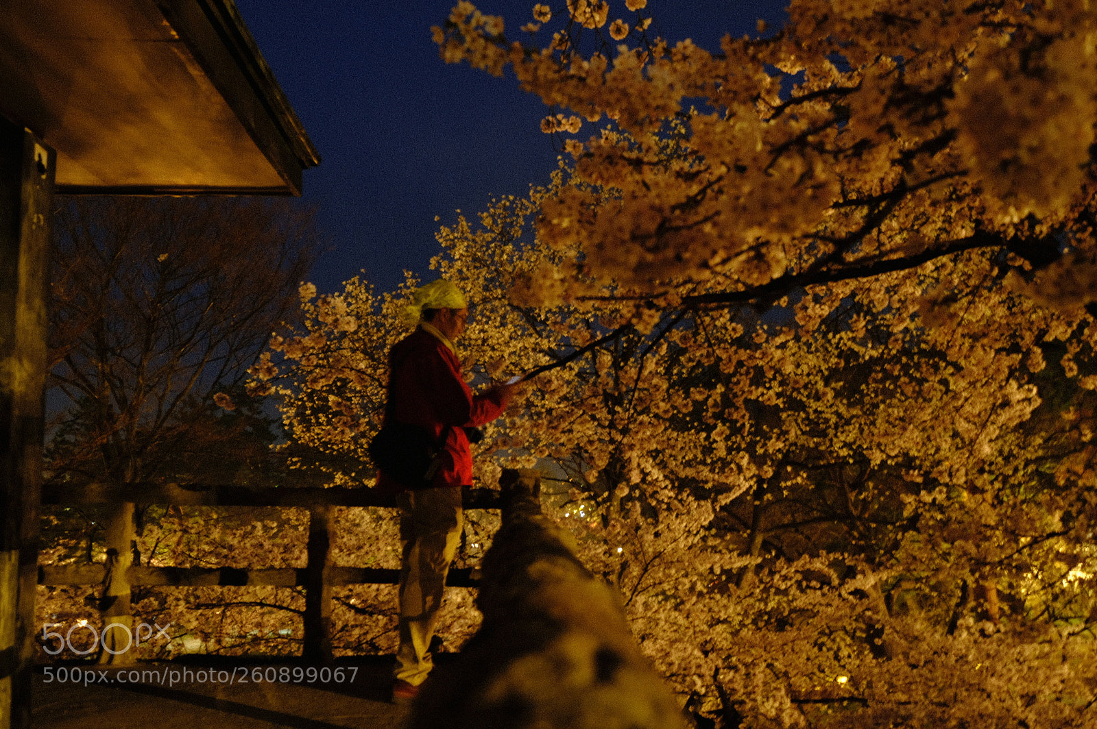 Fujifilm X-T2 sample photo. Dscf photography