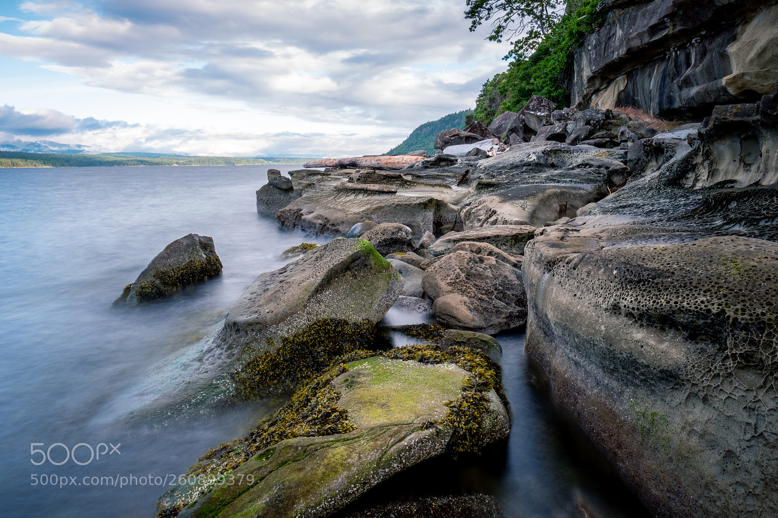 Fujifilm X-T2 sample photo. Hornby island photography