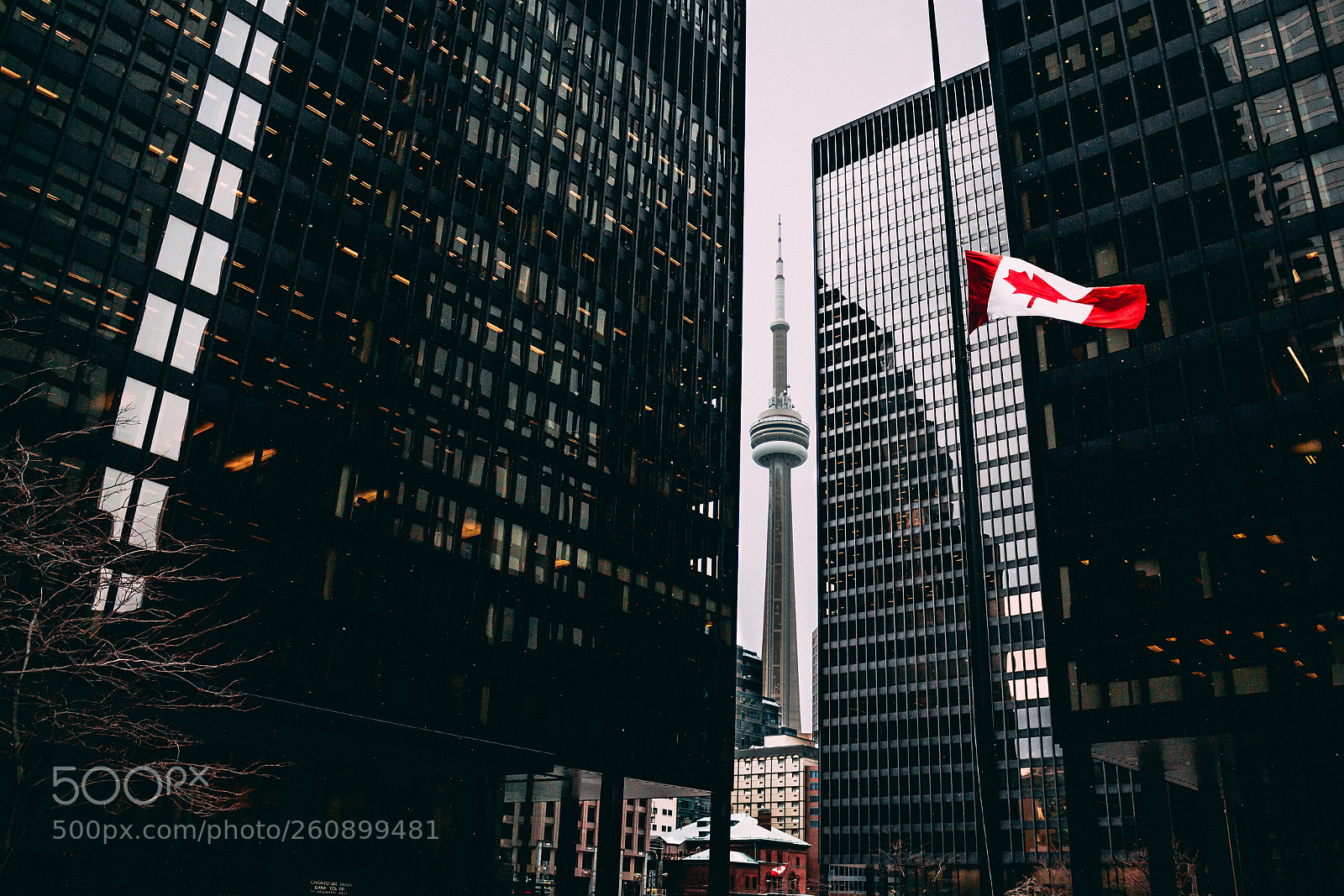 Canon EOS 700D (EOS Rebel T5i / EOS Kiss X7i) sample photo. Cn tower photography