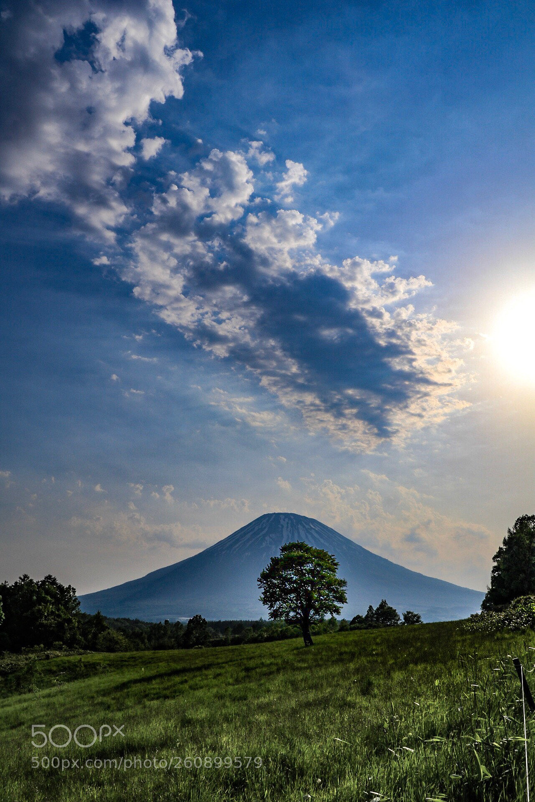Canon EOS 80D sample photo. Mt. yotei photography