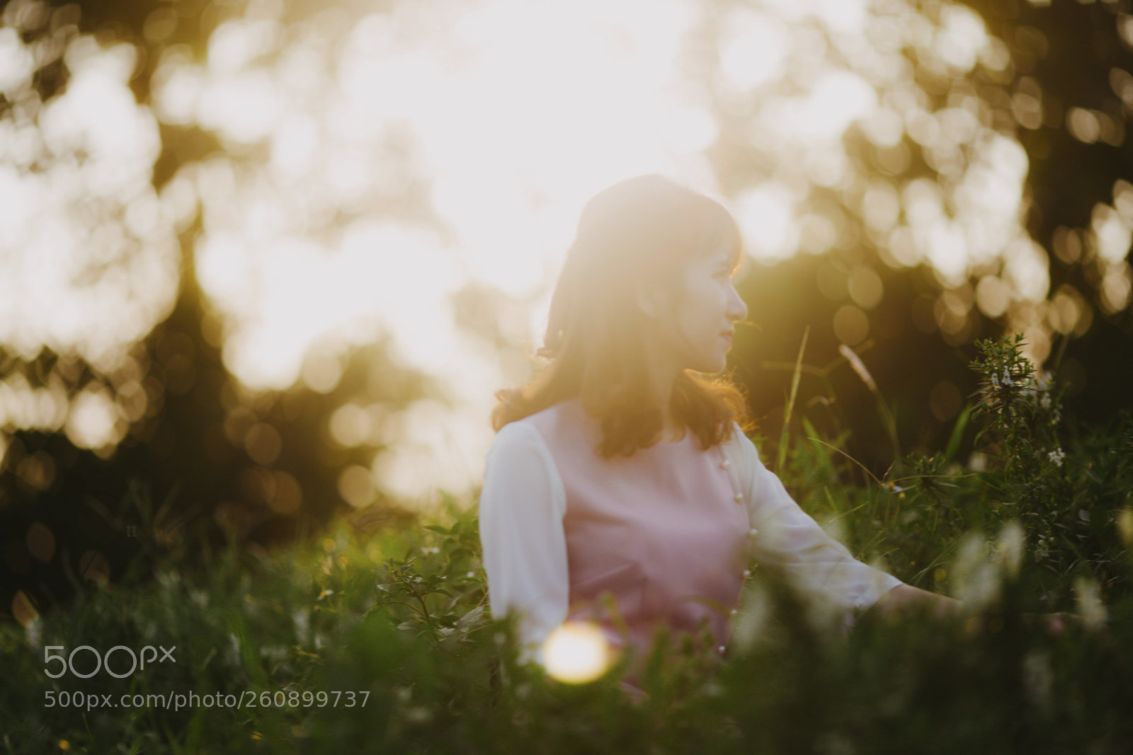 Canon EOS 6D sample photo. Mg photography
