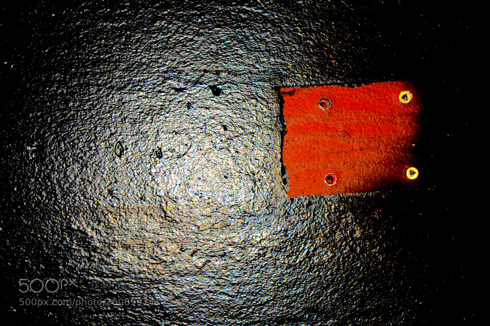 Nikon D5200 sample photo. Red on black photography