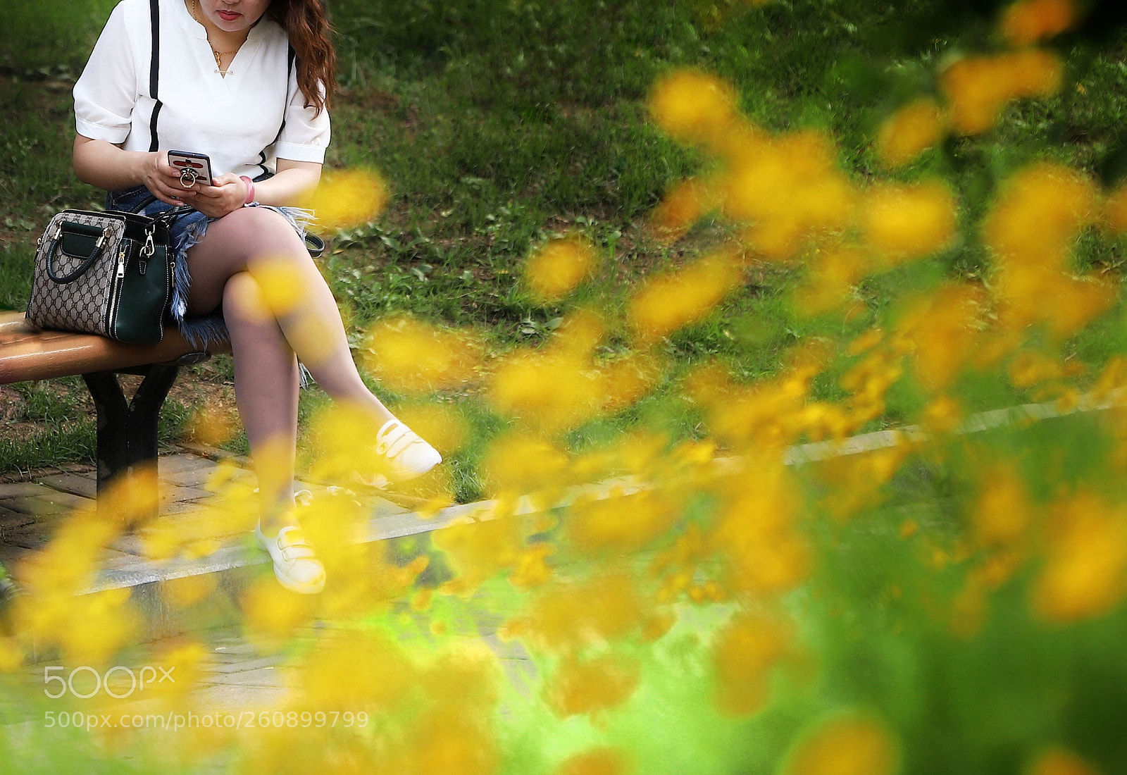 Canon EOS 6D Mark II sample photo. 隔花 photography