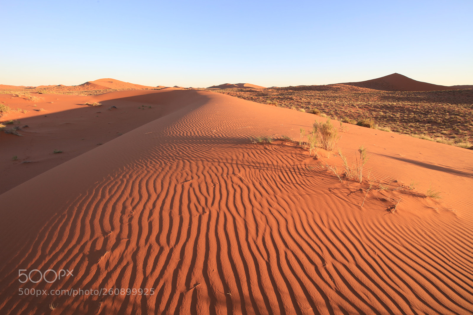 Canon EOS 5DS R sample photo. Red namib dunes photography