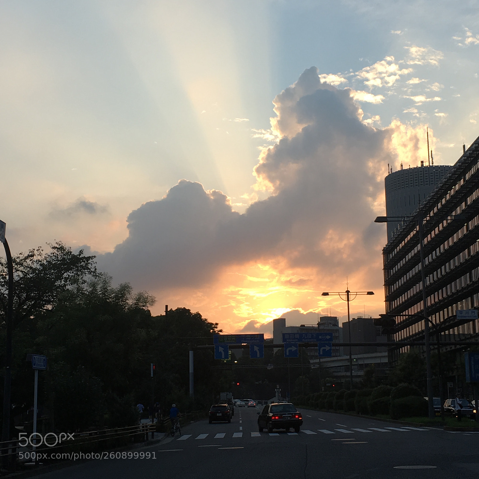 Apple iPhone 6s sample photo. Img photography