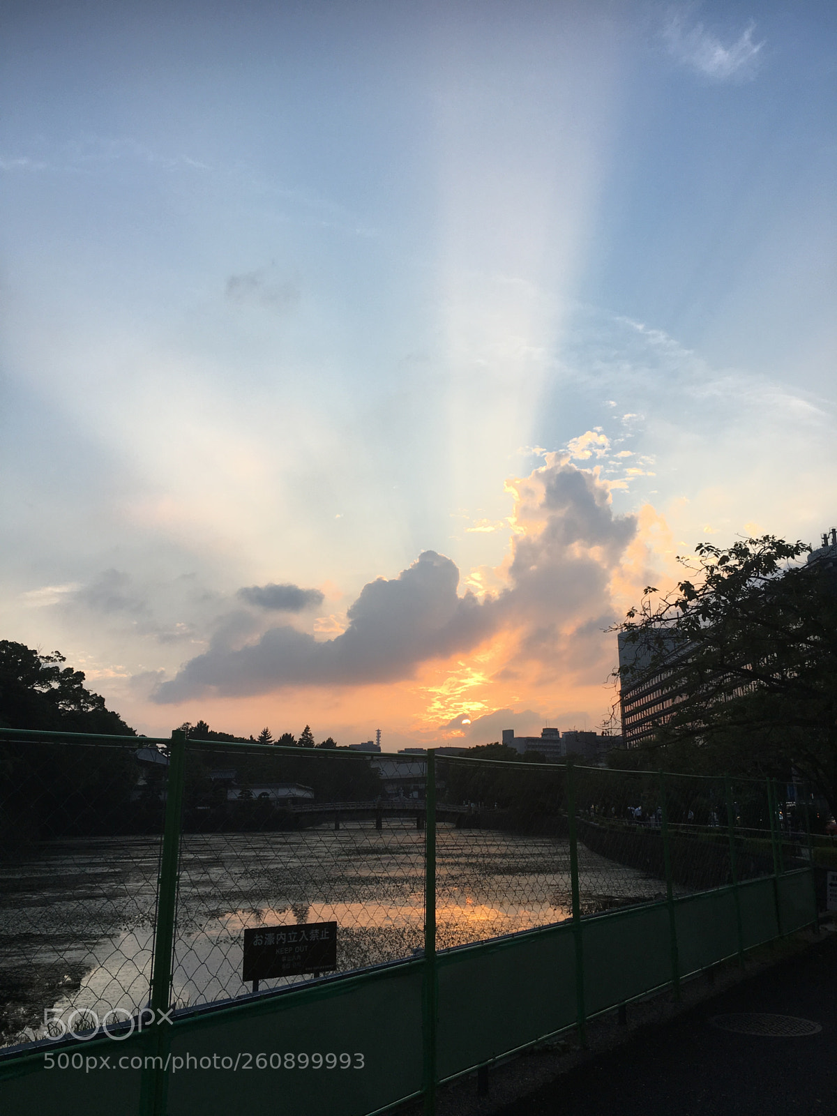 Apple iPhone 6s sample photo. Img photography