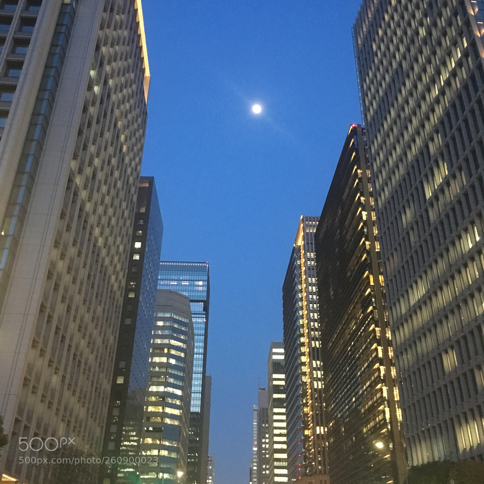 Apple iPhone 6s sample photo. Img photography