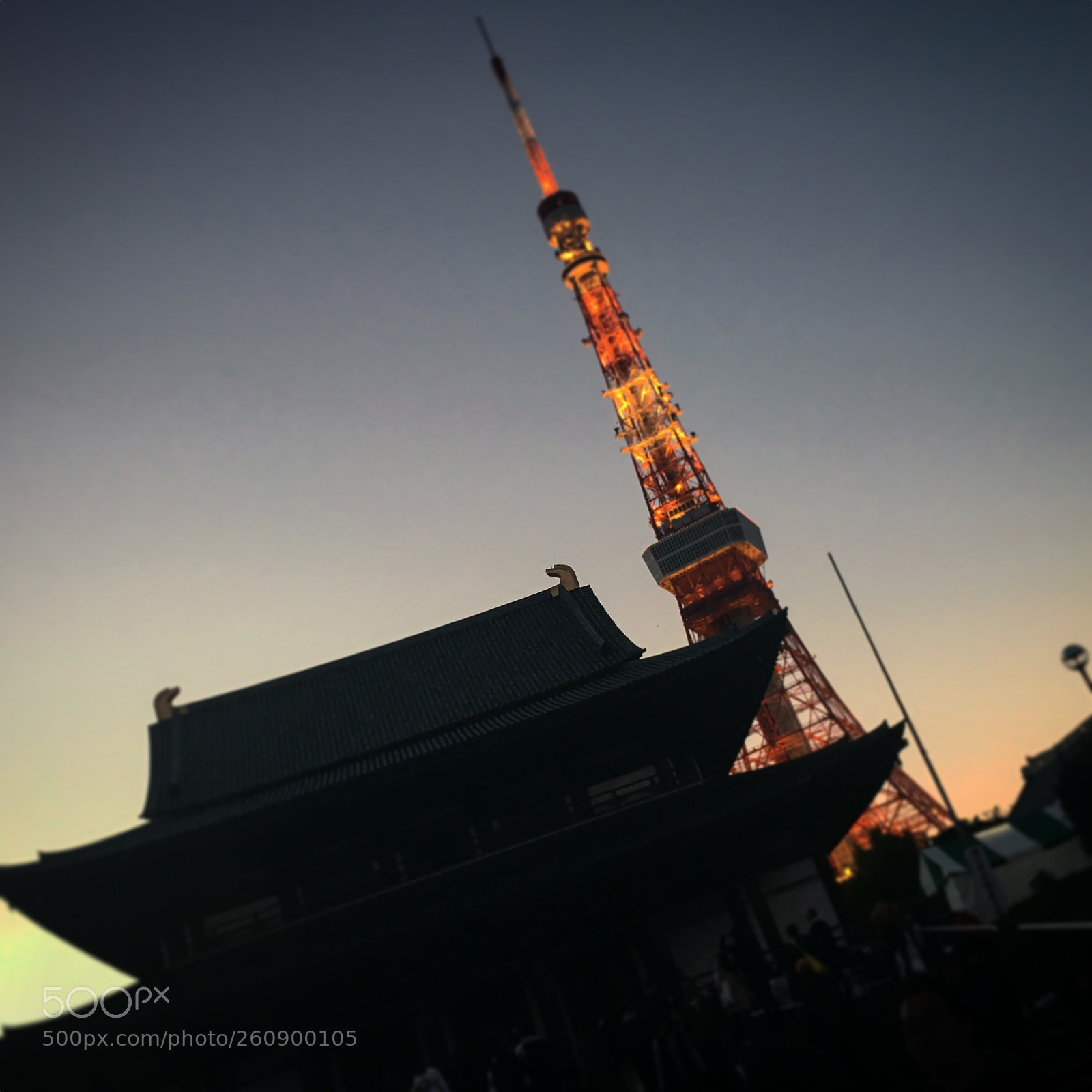 Apple iPhone 6s sample photo. Img photography
