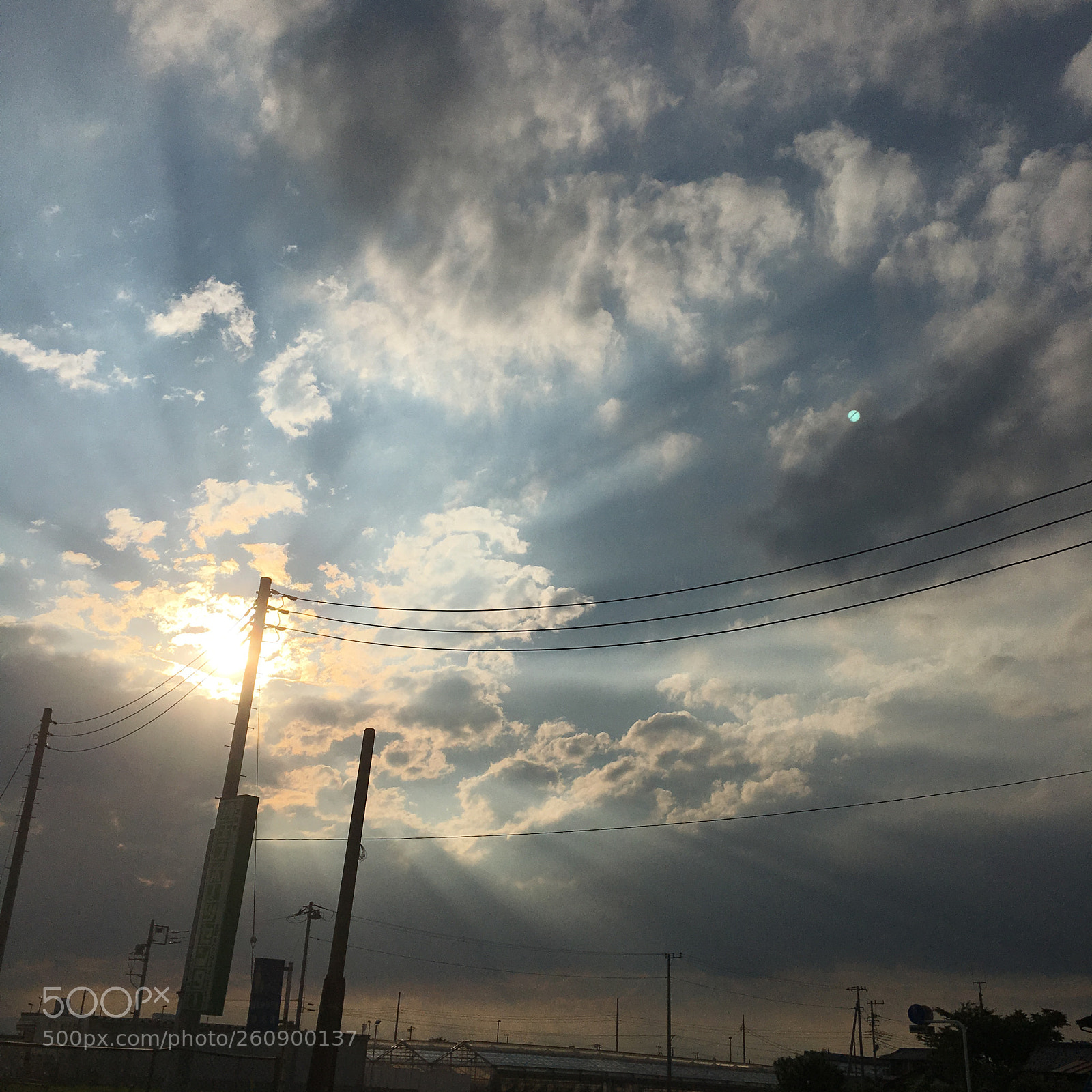 Apple iPhone 6s sample photo. Img photography