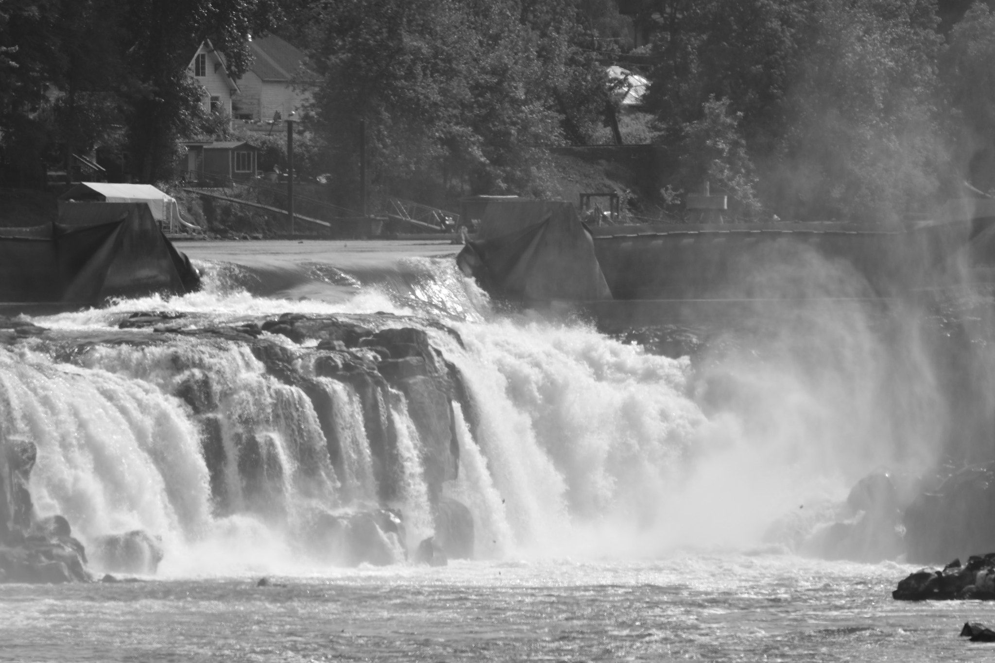 Nikon D3400 + Sigma 120-400mm F4.5-5.6 DG OS HSM sample photo. The falls and birds and willametter river jet boat photography
