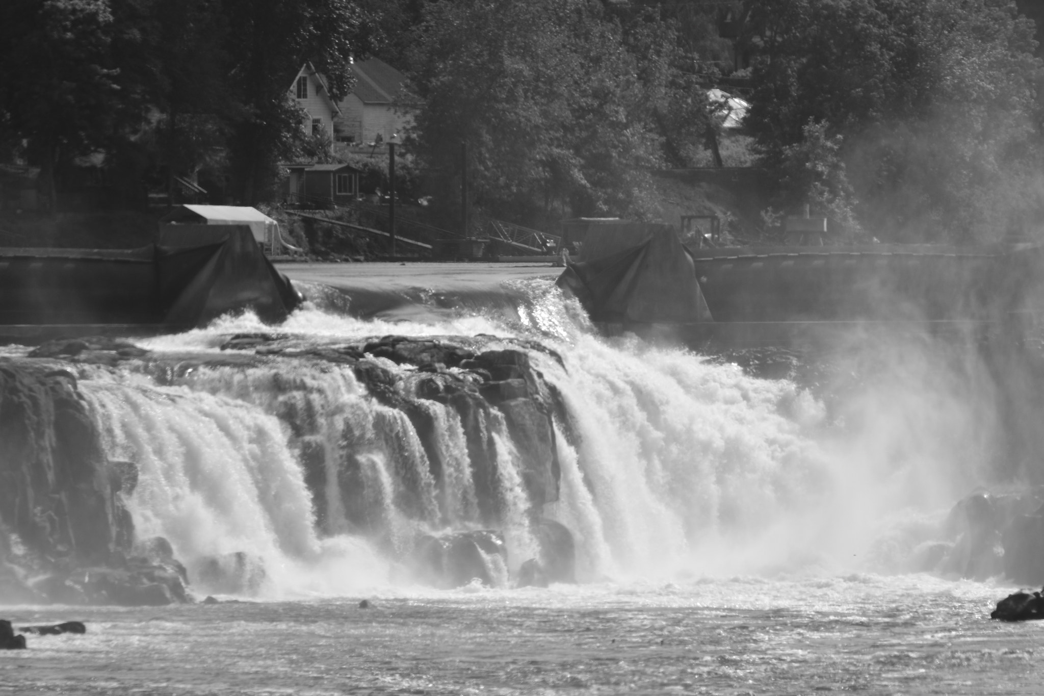 Sigma 120-400mm F4.5-5.6 DG OS HSM sample photo. The falls and birds and willametter river jet boat photography