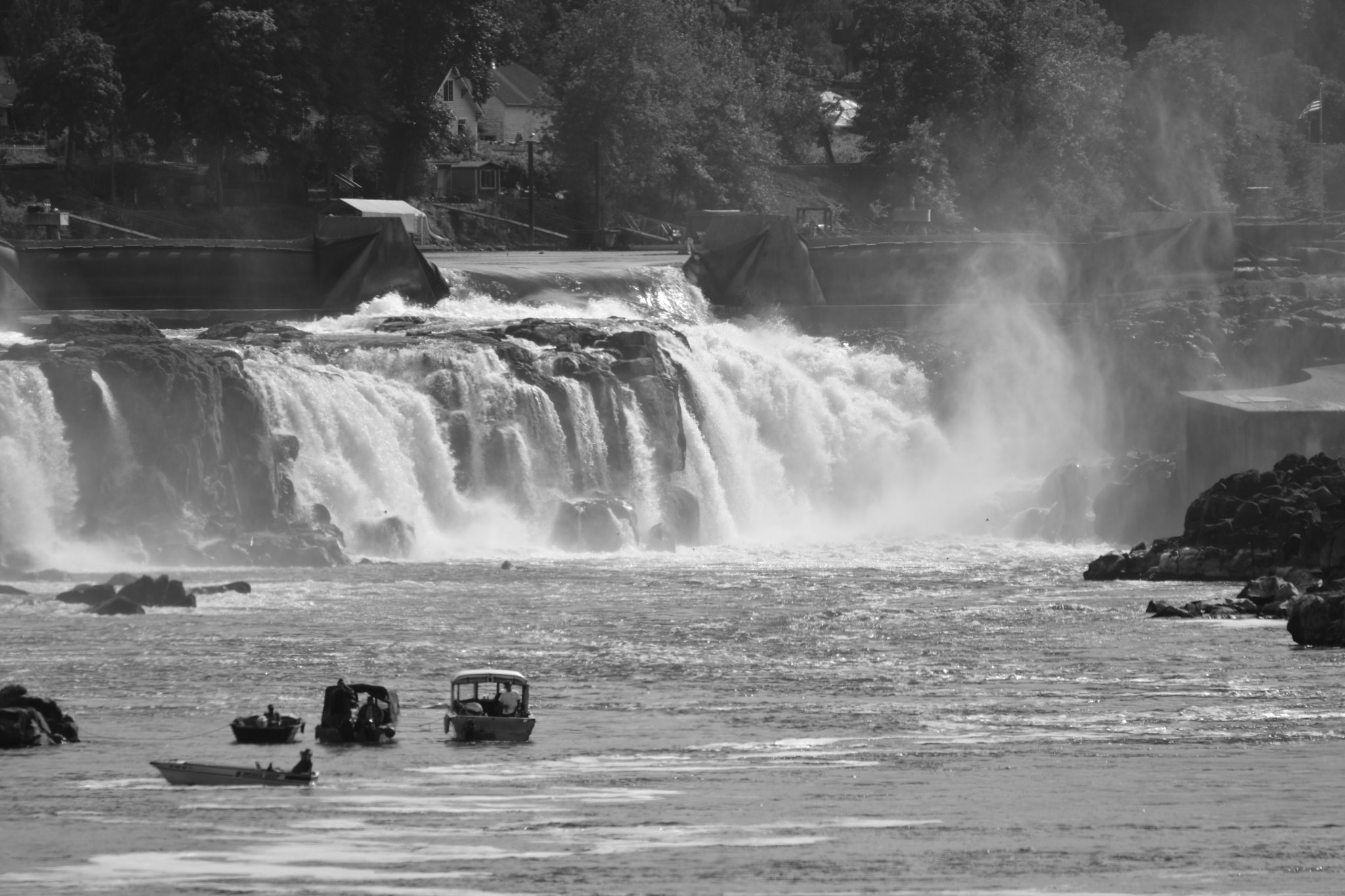 Sigma 120-400mm F4.5-5.6 DG OS HSM sample photo. The falls and birds and willametter river jet boat photography