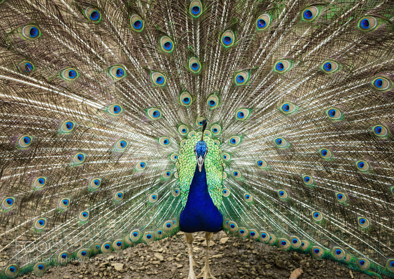 Nikon D850 sample photo. Incredible nature! photography