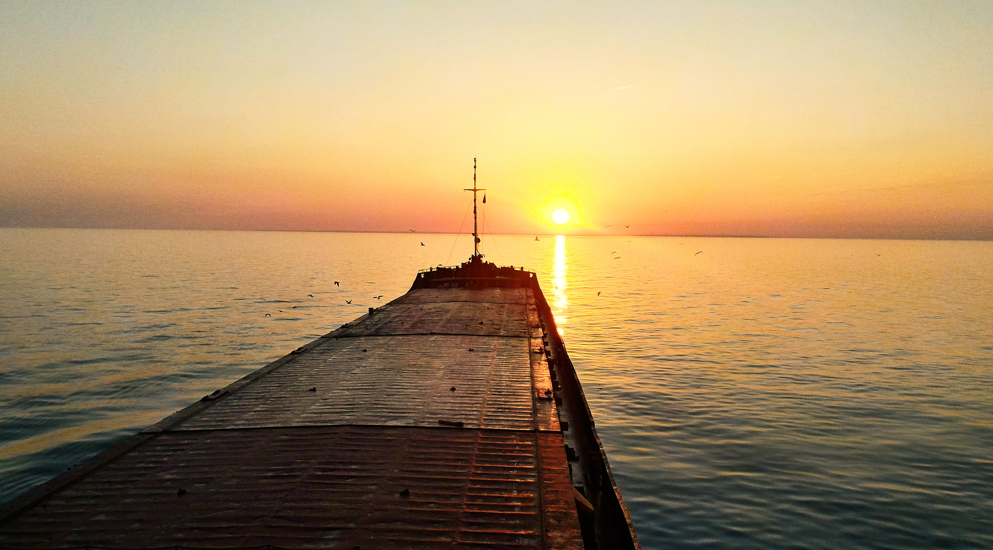 ASUS ZenFone 2 (ZE551ML) sample photo