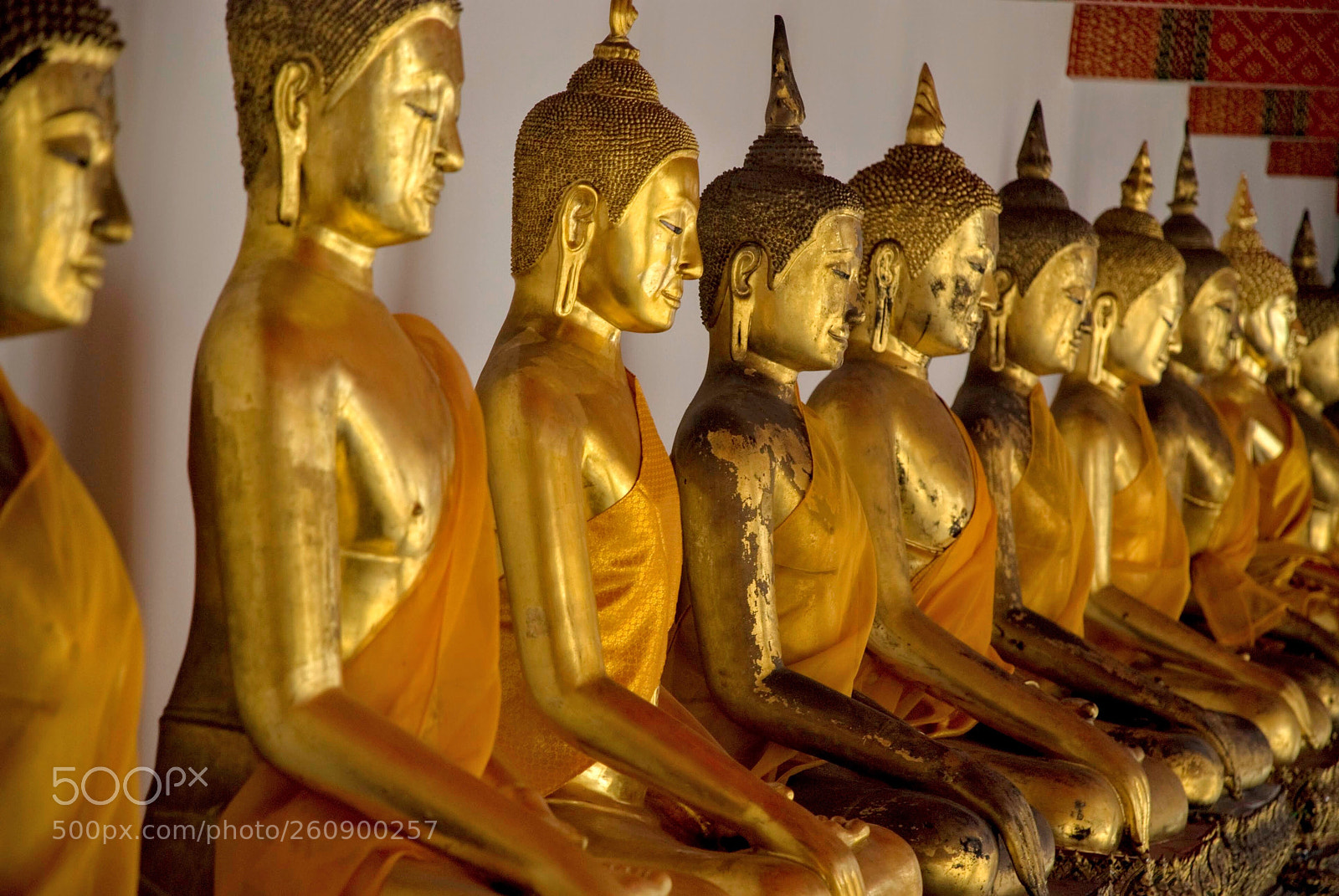 Nikon D80 sample photo. Buddha row photography