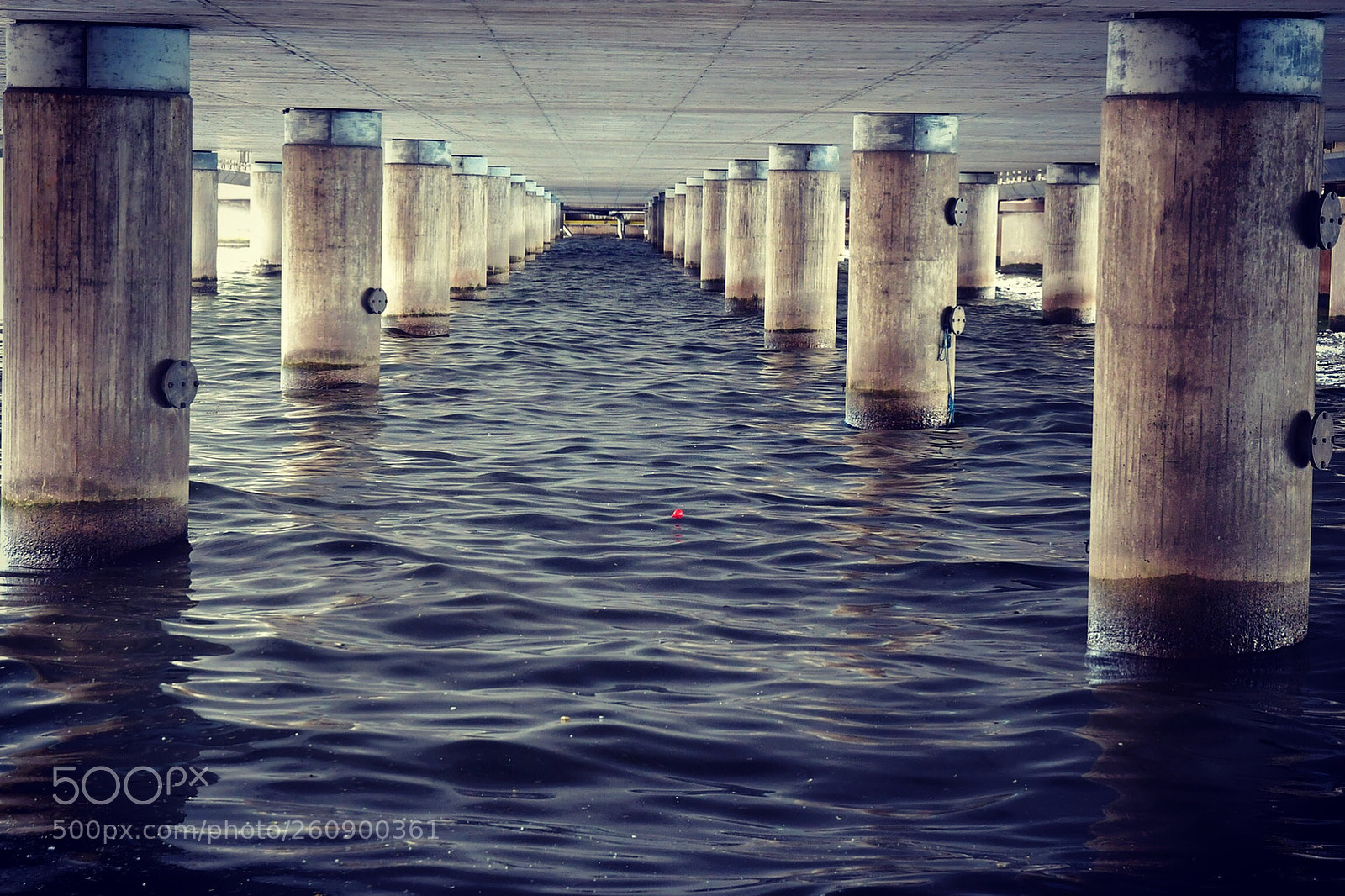 Nikon D500 sample photo. Stockholm down-under photography