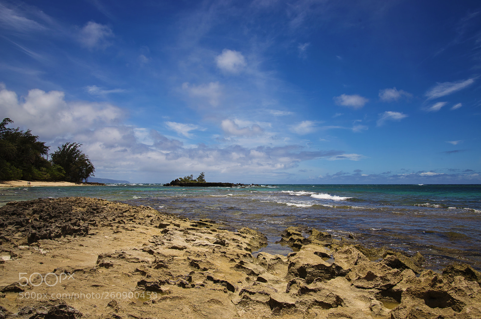 Nikon D610 sample photo. Rocky beach photography