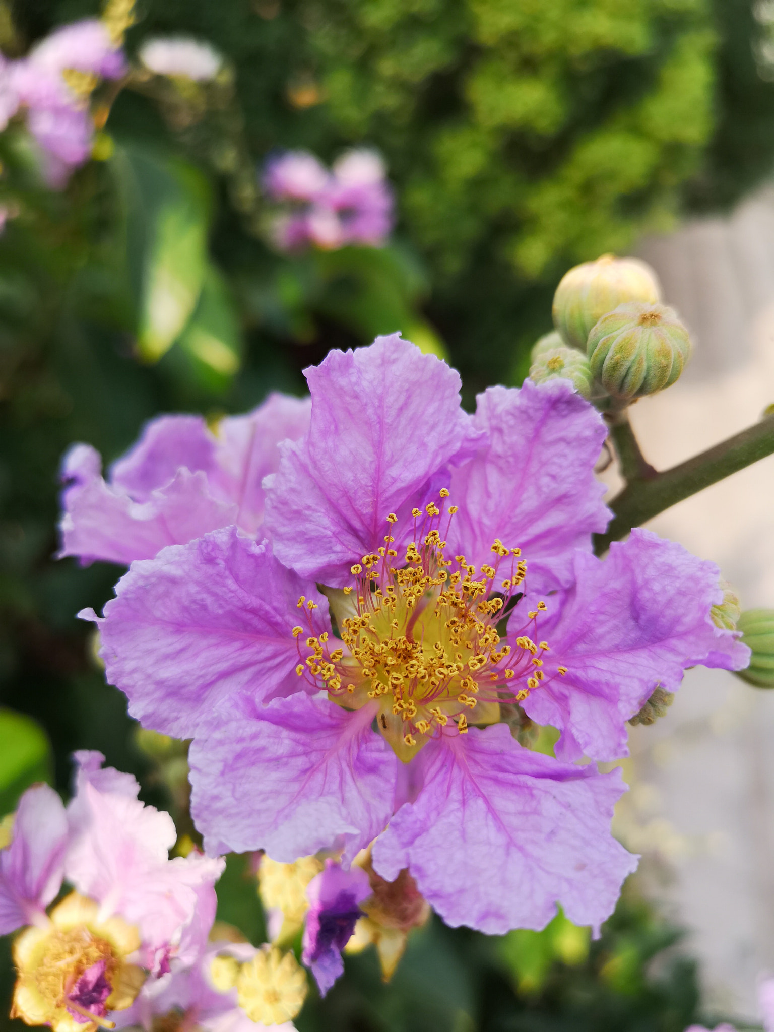 HUAWEI P20 Pro sample photo