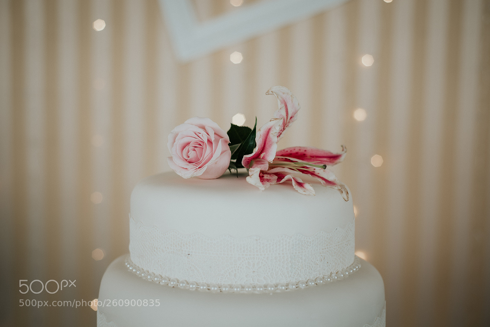 Nikon D610 sample photo. Marlisson & janaine photography