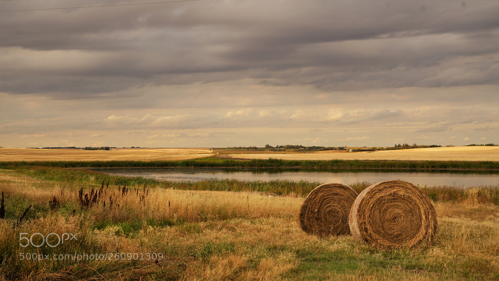 Sony a7R II sample photo. Dsc photography