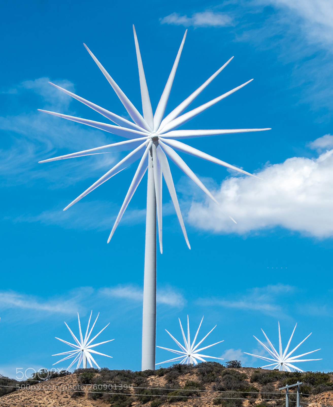 Nikon D500 sample photo. Windmills photography