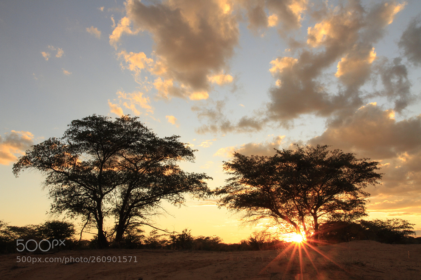 Canon EOS 7D sample photo. Kalahari sunrise photography