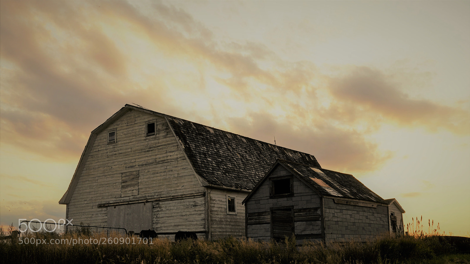 Sony a7R II sample photo. Dsc photography