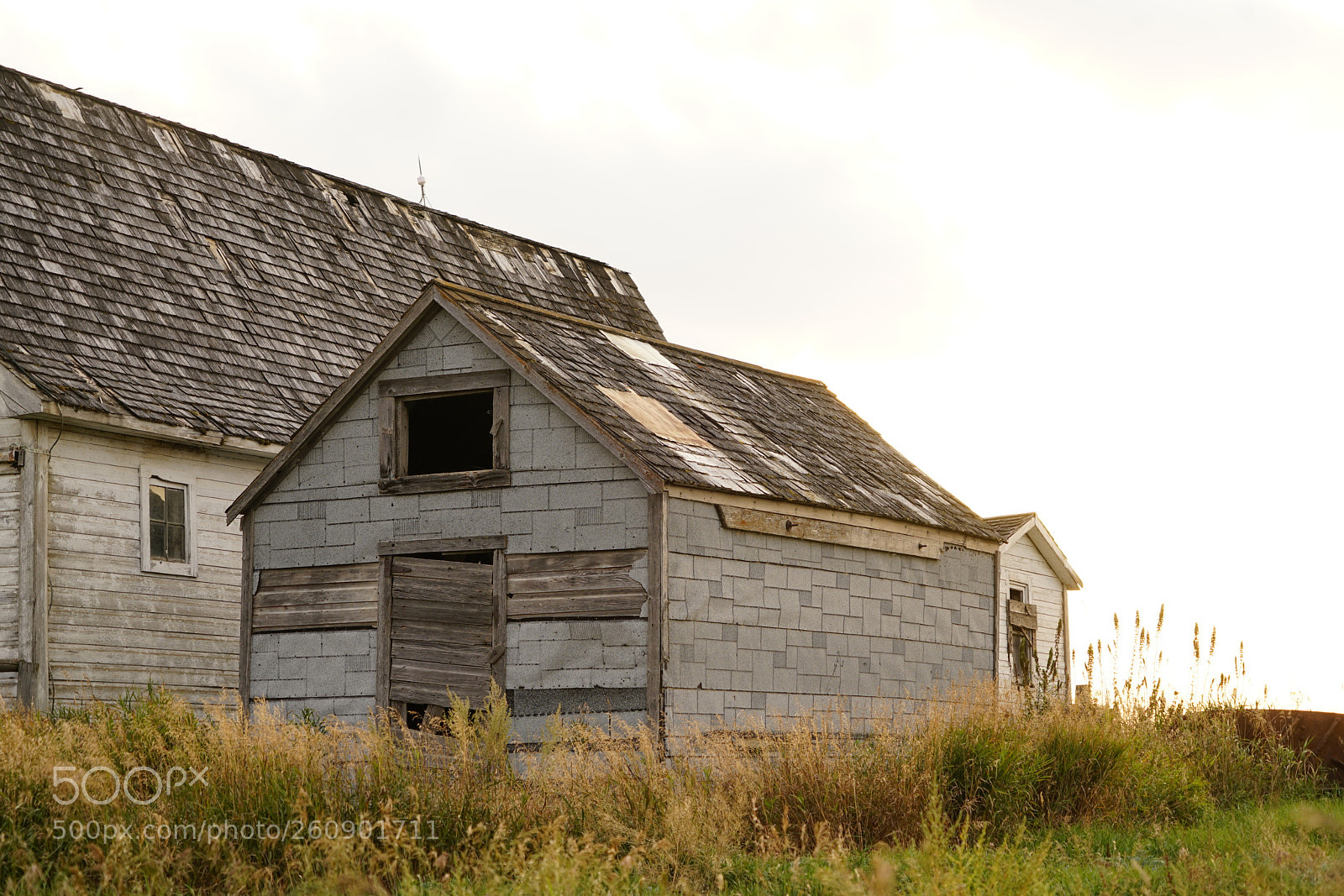 Sony a7R II sample photo. Dsc photography