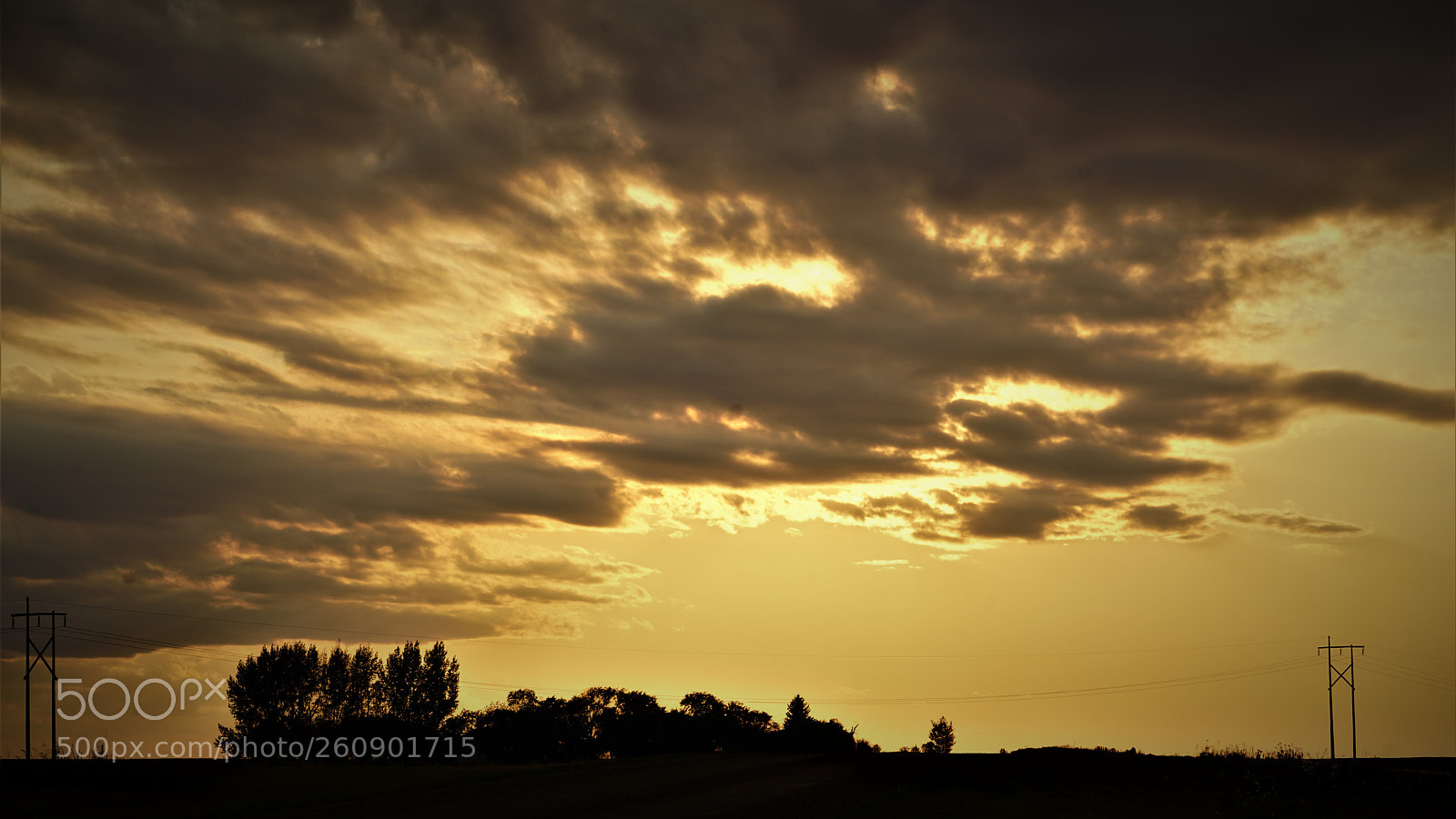 Sony a7R II sample photo. Dsc photography