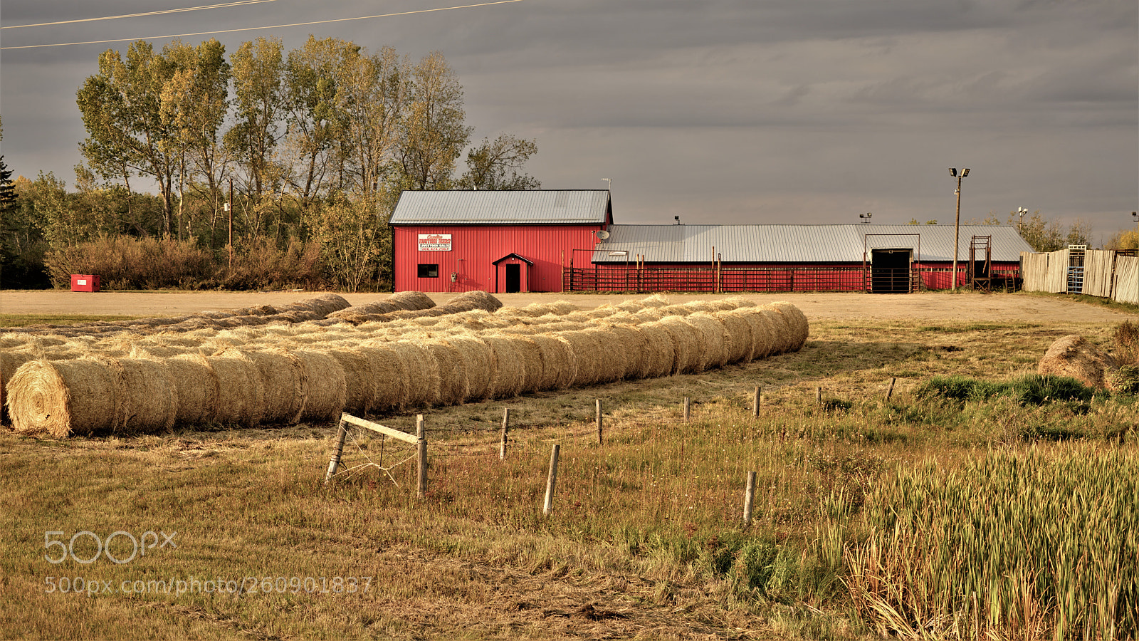Sony a7R II sample photo. Dsc photography
