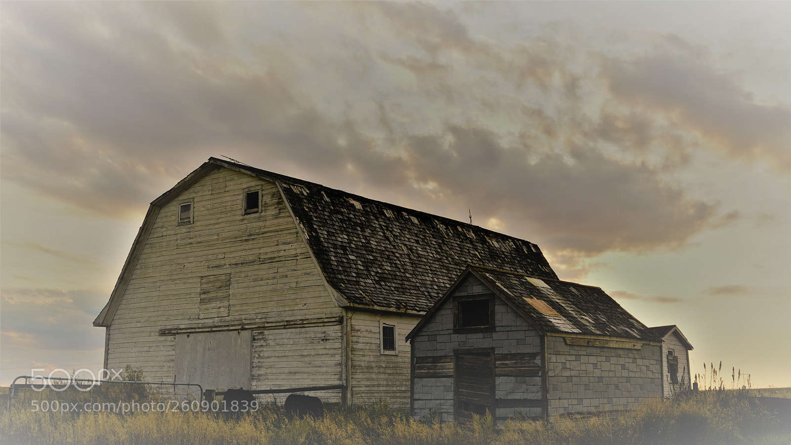 Sony a7R II sample photo. Dsc photography