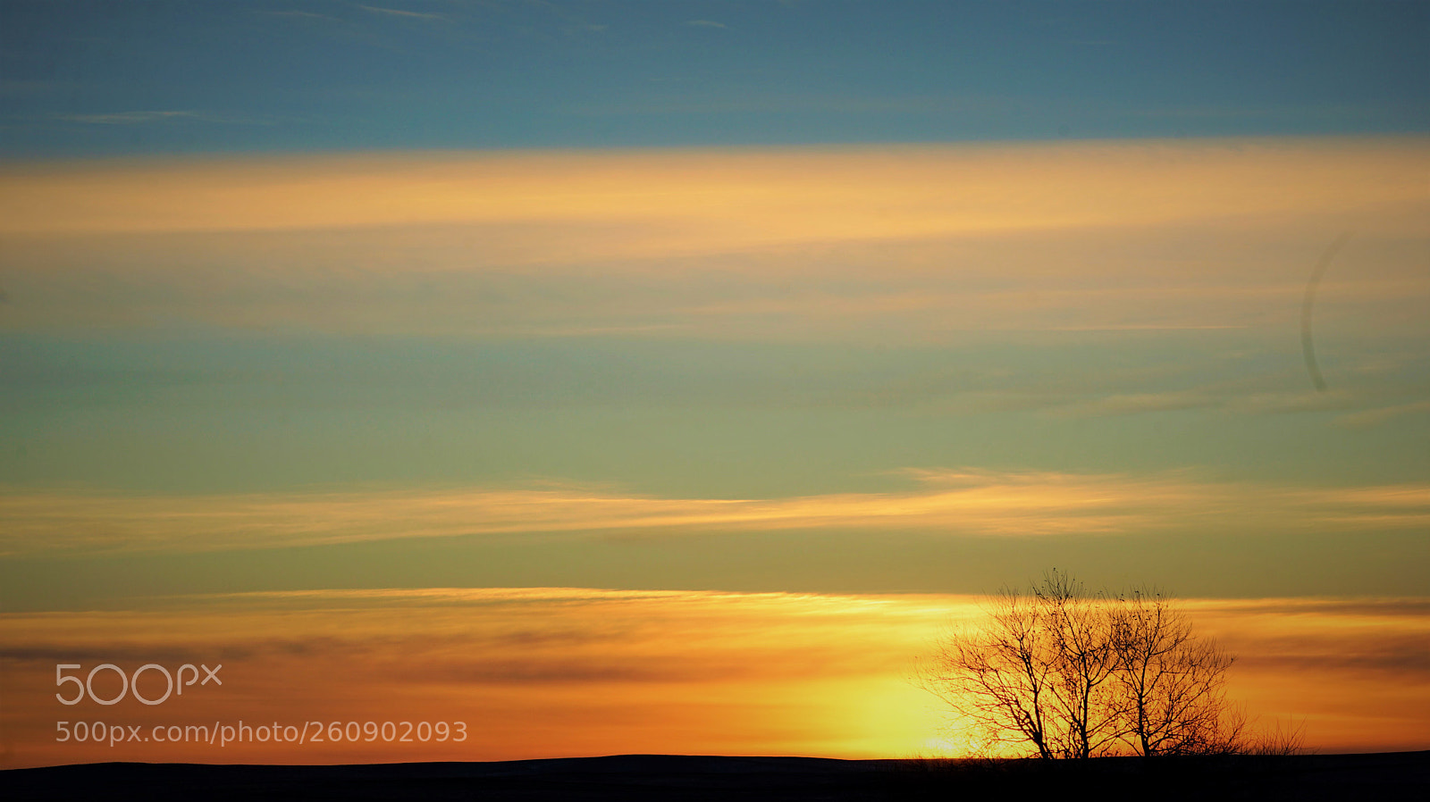Sony a7 II sample photo. Dsc photography