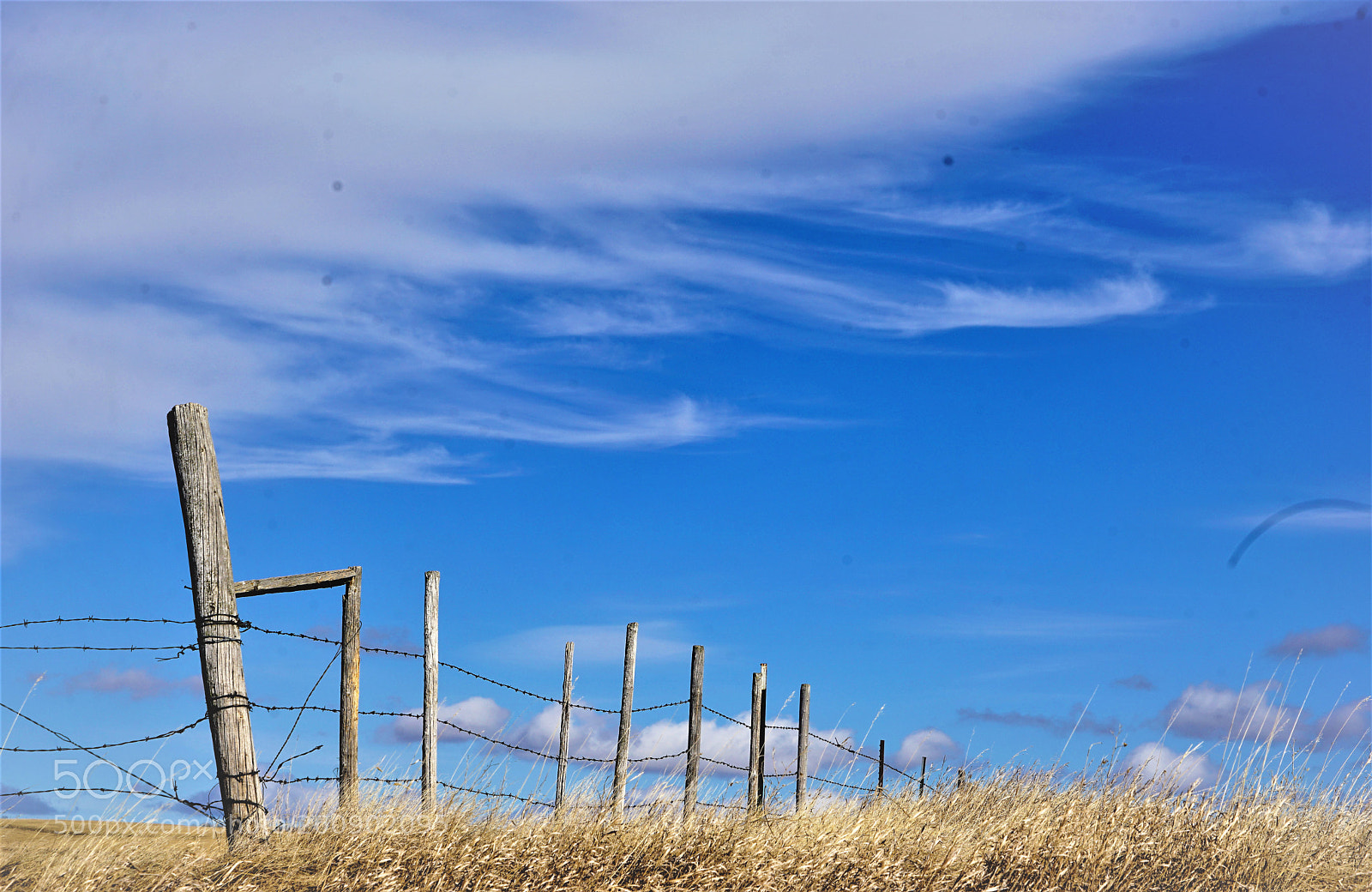 Sony a7 II sample photo. Dsc photography