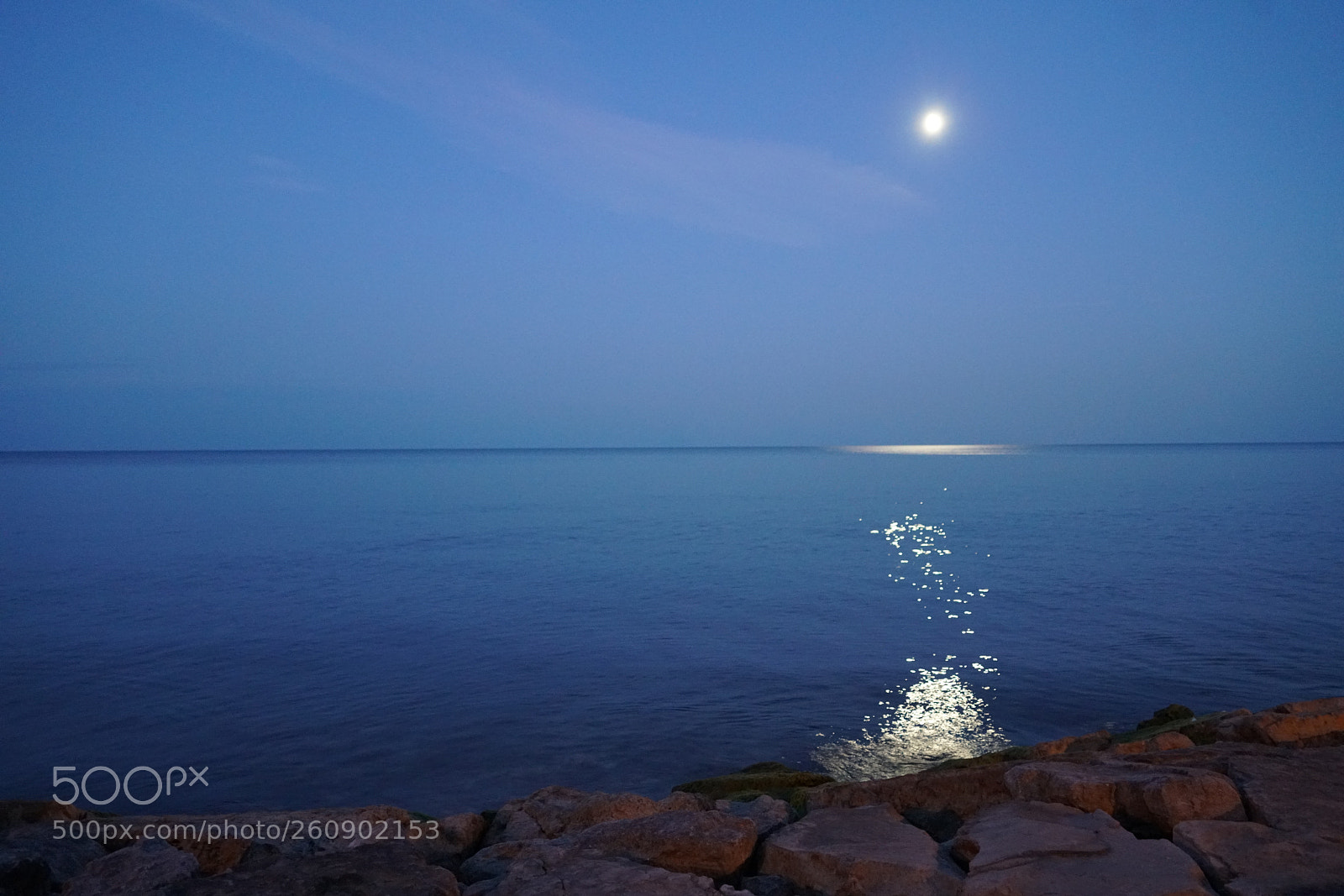 Sony a7R II sample photo. Dsc photography