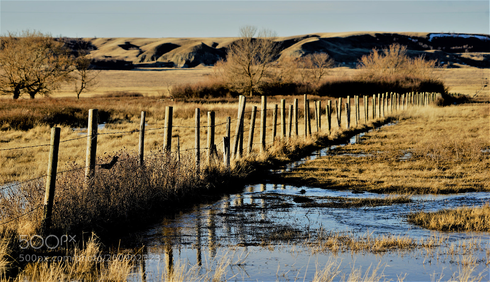 Sony a7 II sample photo. Dsc photography