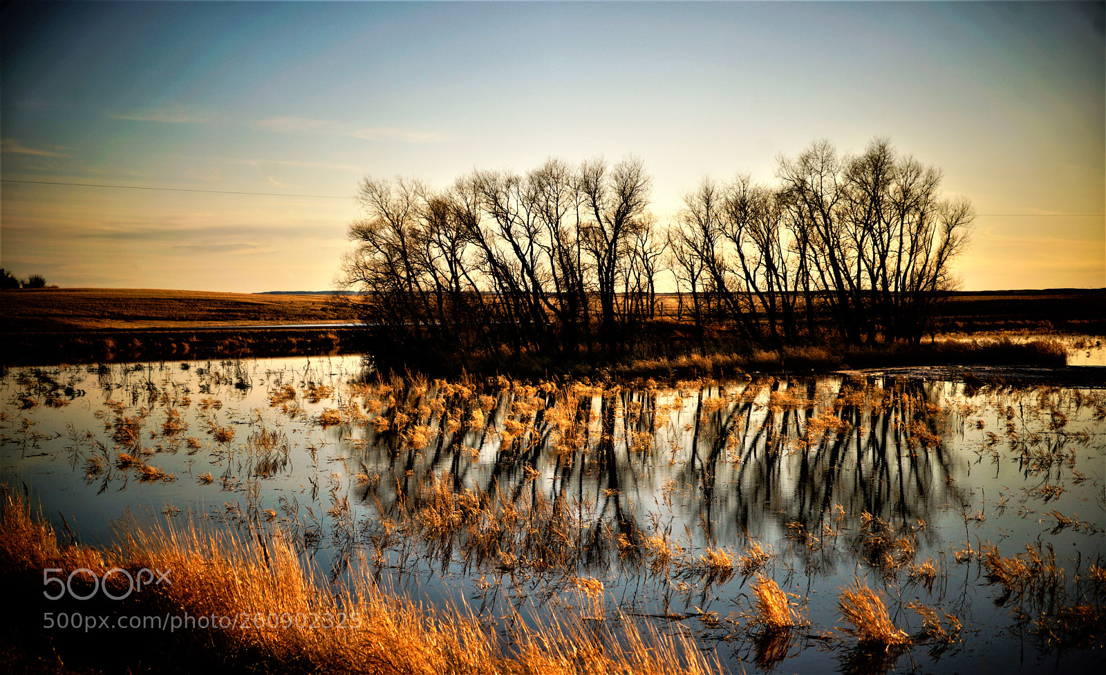 Sony a7 II sample photo. Dsc photography
