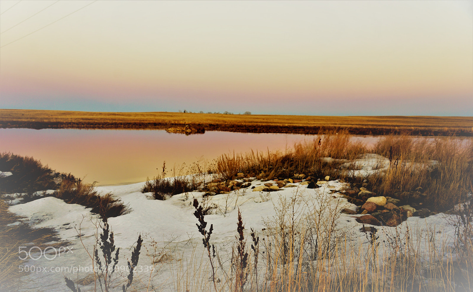 Sony a7 II sample photo. Dsc photography