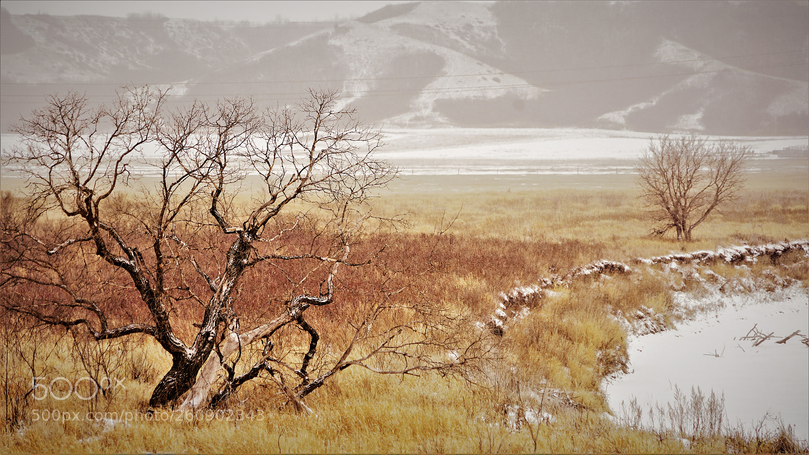 Sony a7R II sample photo. Dsc photography