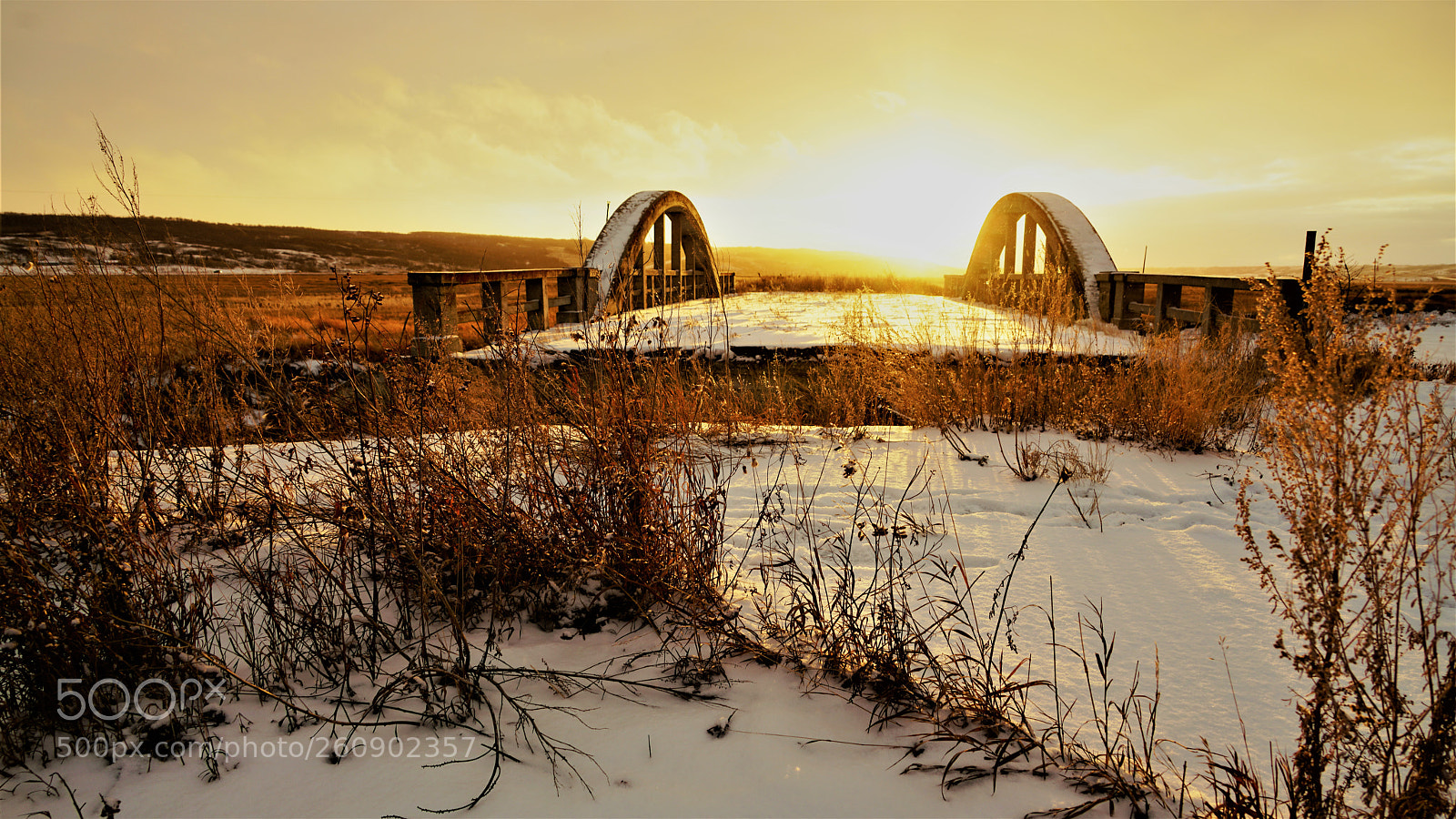 Sony a7R II sample photo. Dsc photography