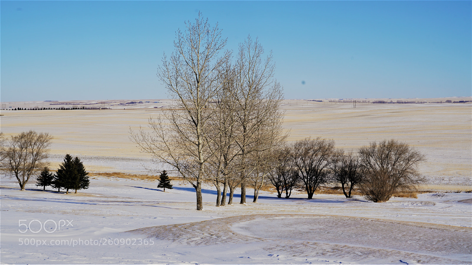 Sony a7R II sample photo. Dsc photography