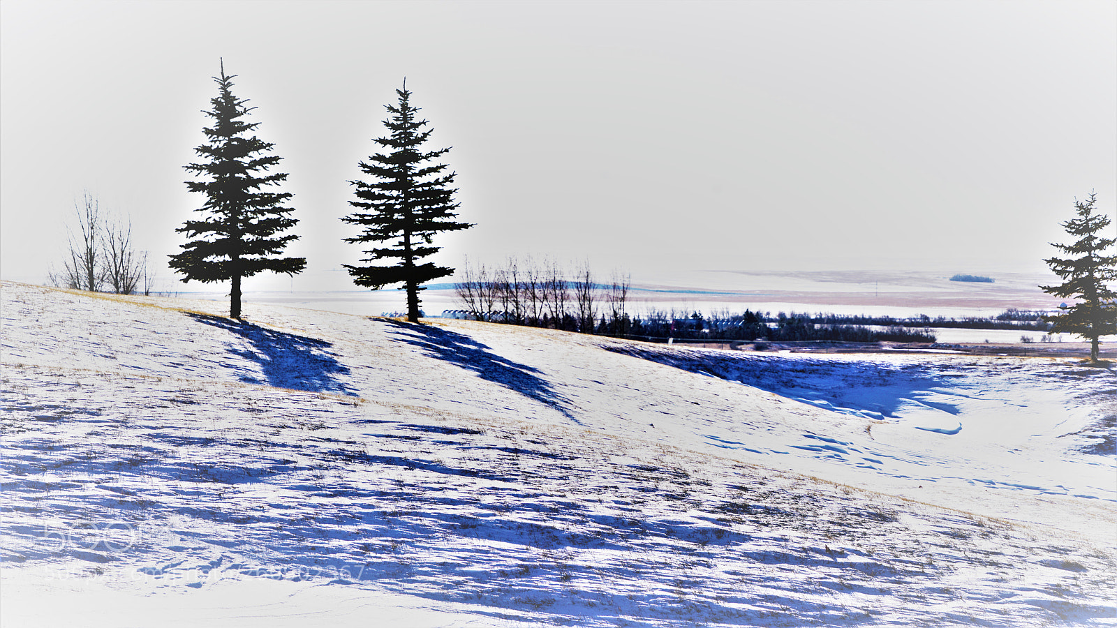 Sony a7R II sample photo. Dsc photography