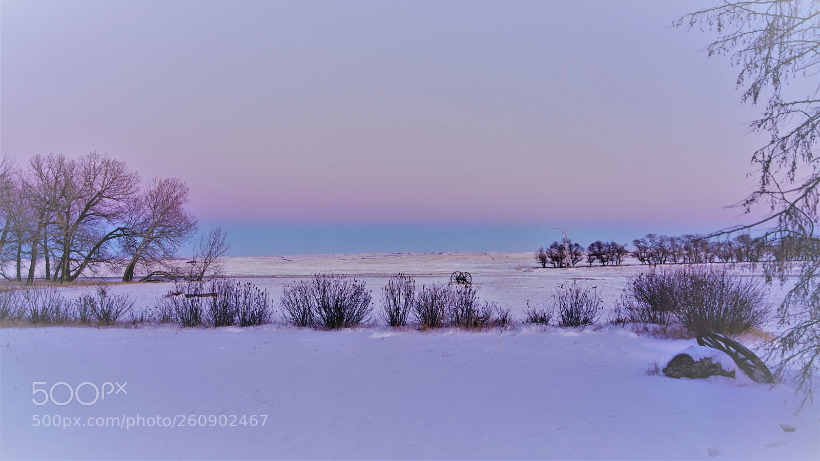 Sony a7R II sample photo. Dsc photography