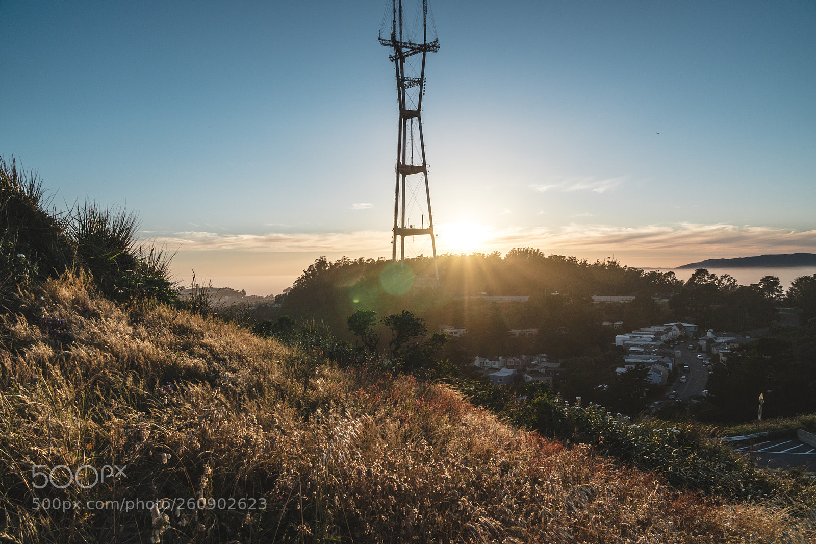 Sony a6500 sample photo. Dsc photography