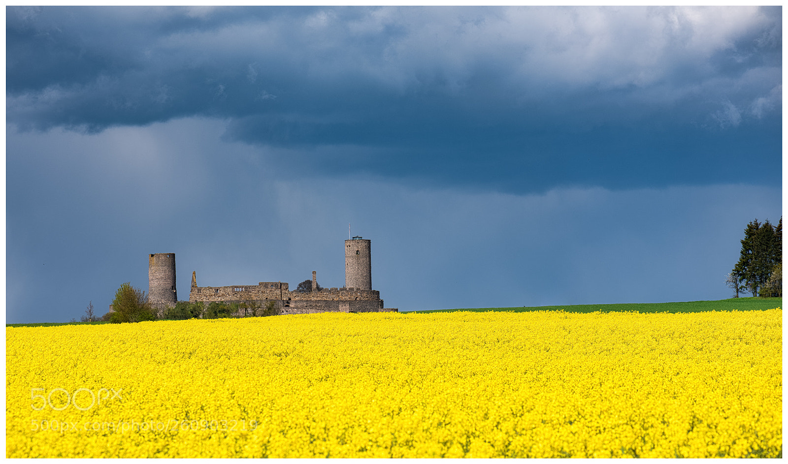 Nikon D810 sample photo. Castle in spring photography
