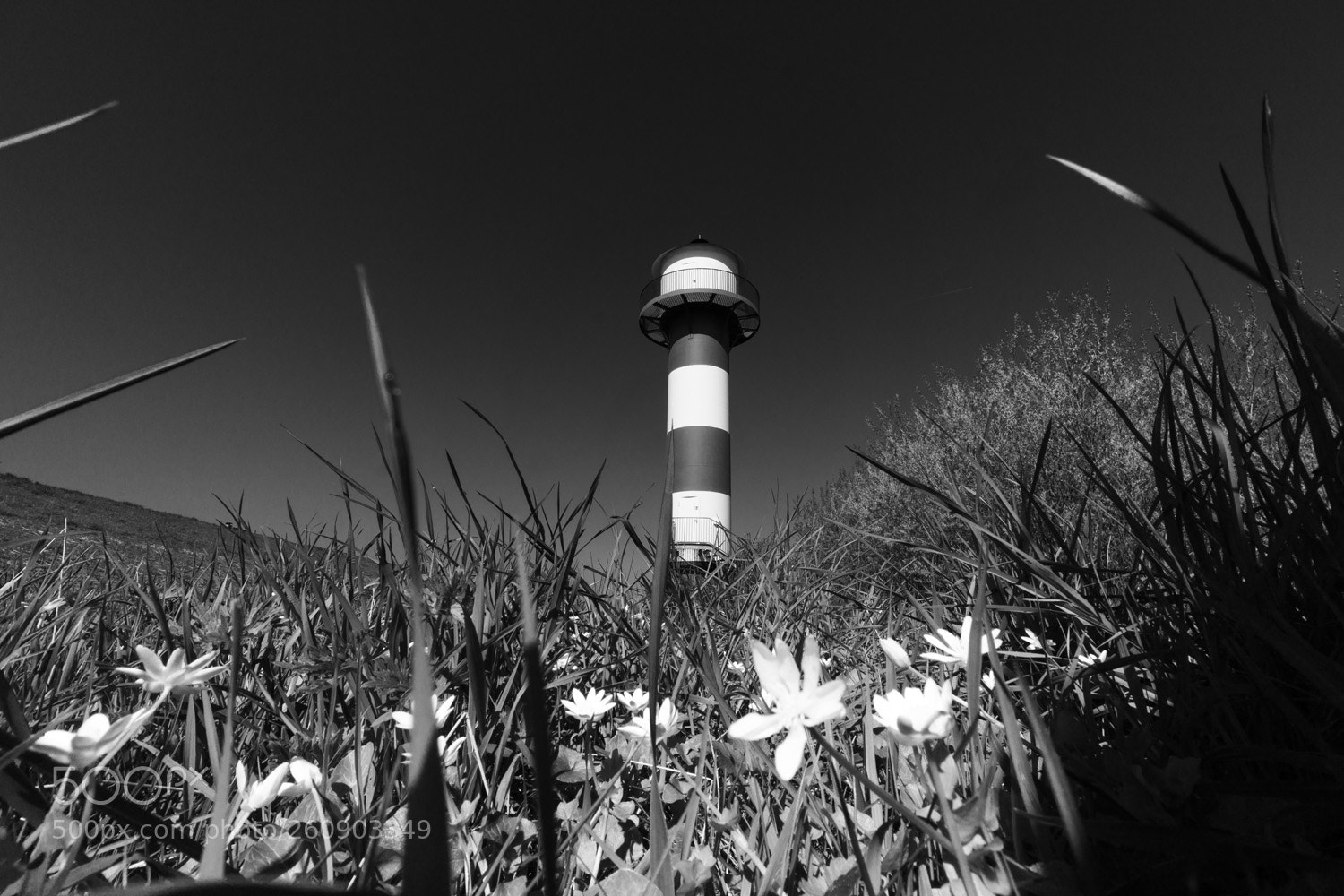 Sony a6000 sample photo. The lighthouse photography